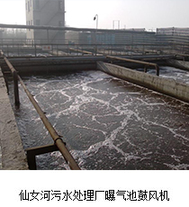 仙女河污水处理厂曝气池
